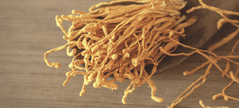 5 Amazing Health Benefits of Cordyceps Mushrooms