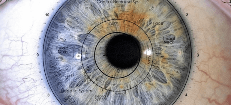 How Iridology Can Save You From Future Diseases