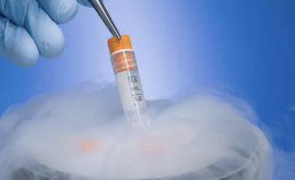DIMETHYL SULFOXIDE: THE CENTRAL PLAYER IN CRYOPRESERVATION