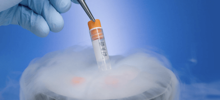 DIMETHYL SULFOXIDE: THE CENTRAL PLAYER IN CRYOPRESERVATION